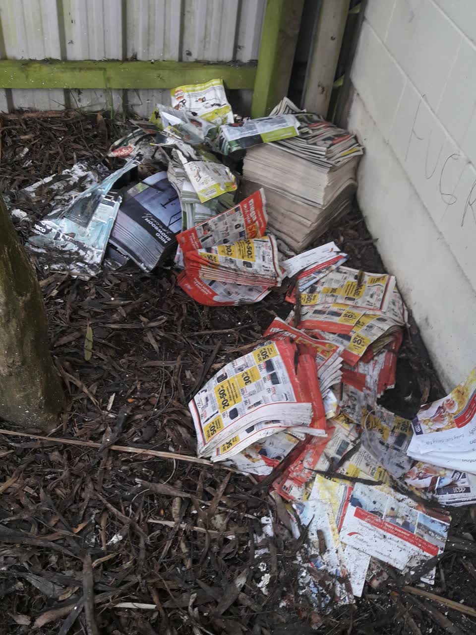 The photograph attached to this parks report