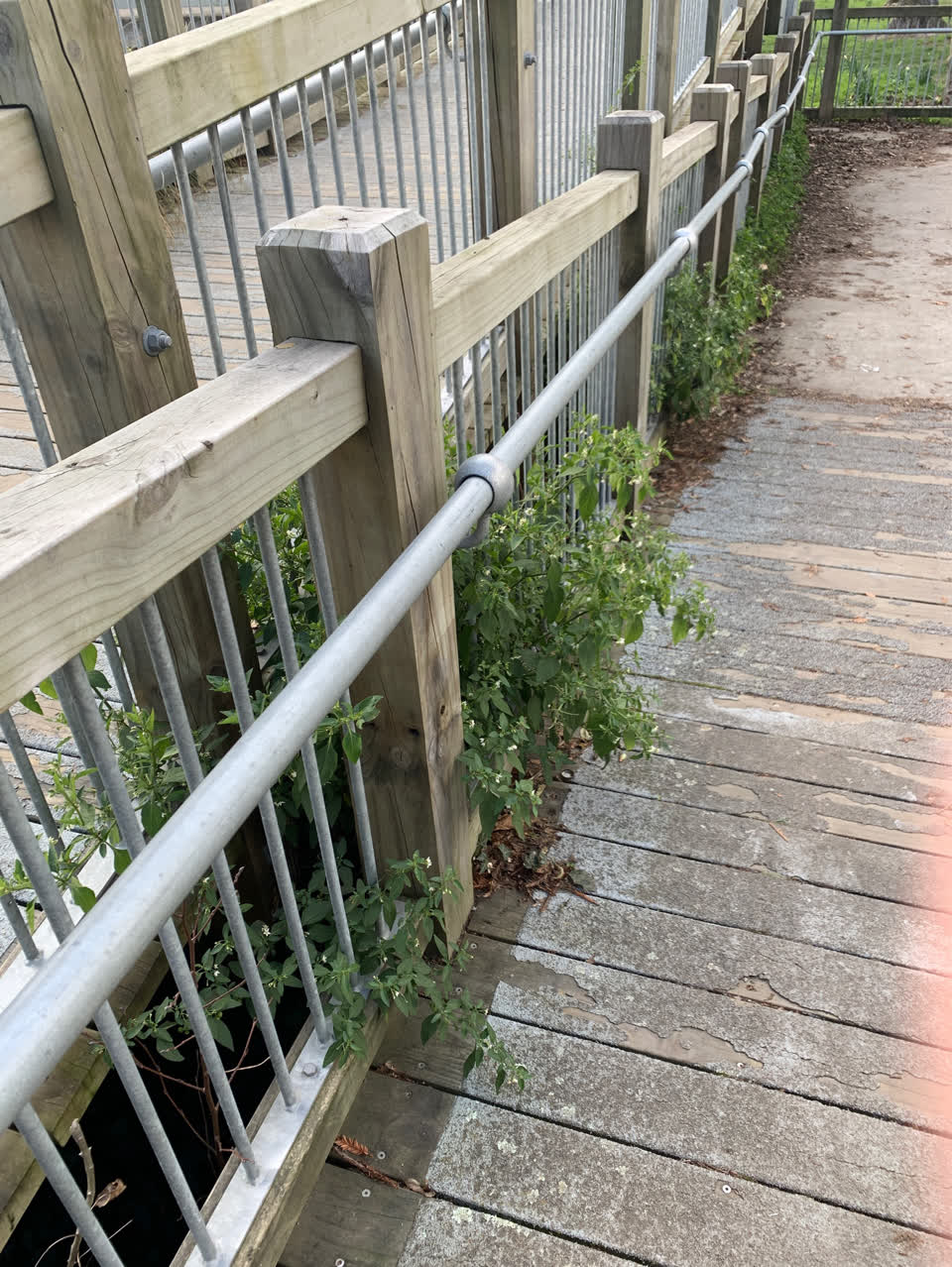 The photograph attached to this parks report
