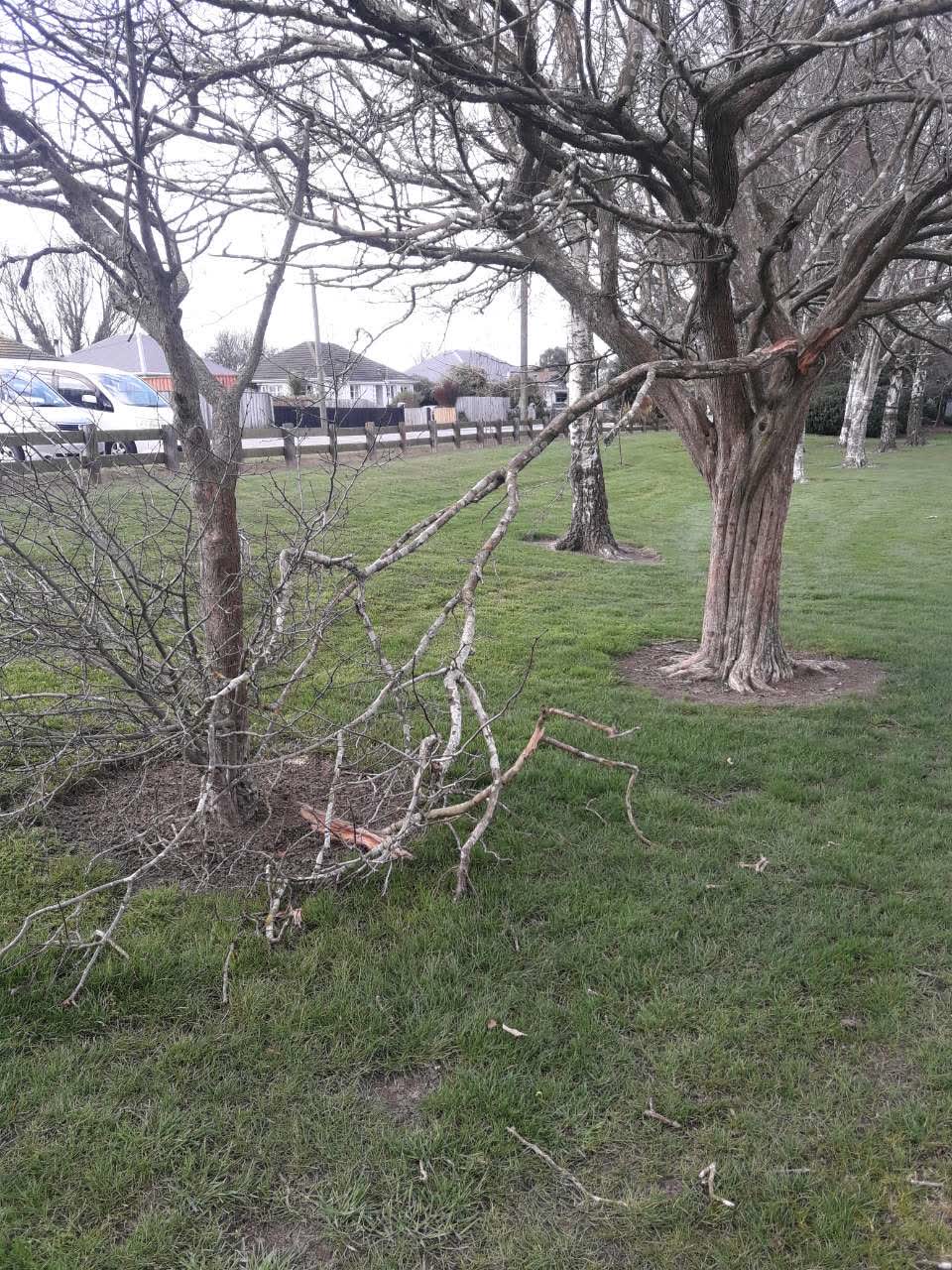 The photograph attached to this parks report