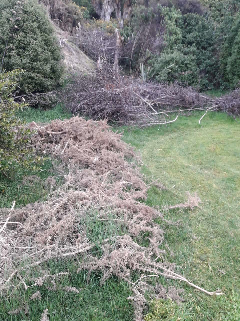 The photograph attached to this parks report