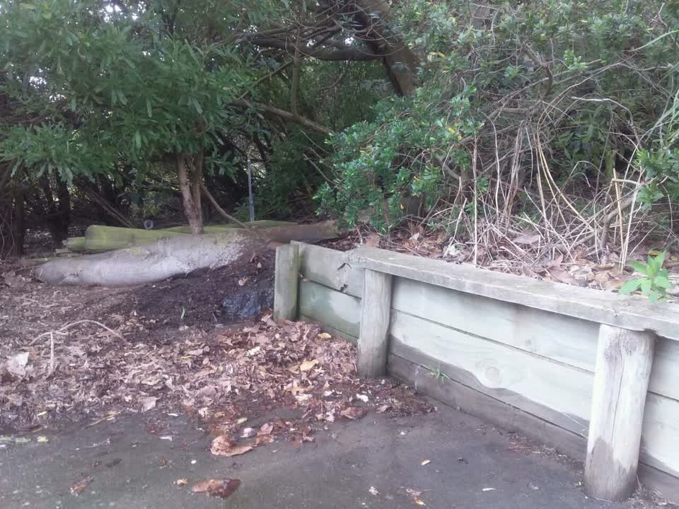 The photograph attached to this parks report