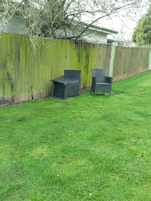 Rubbish/Recycling, a report photo