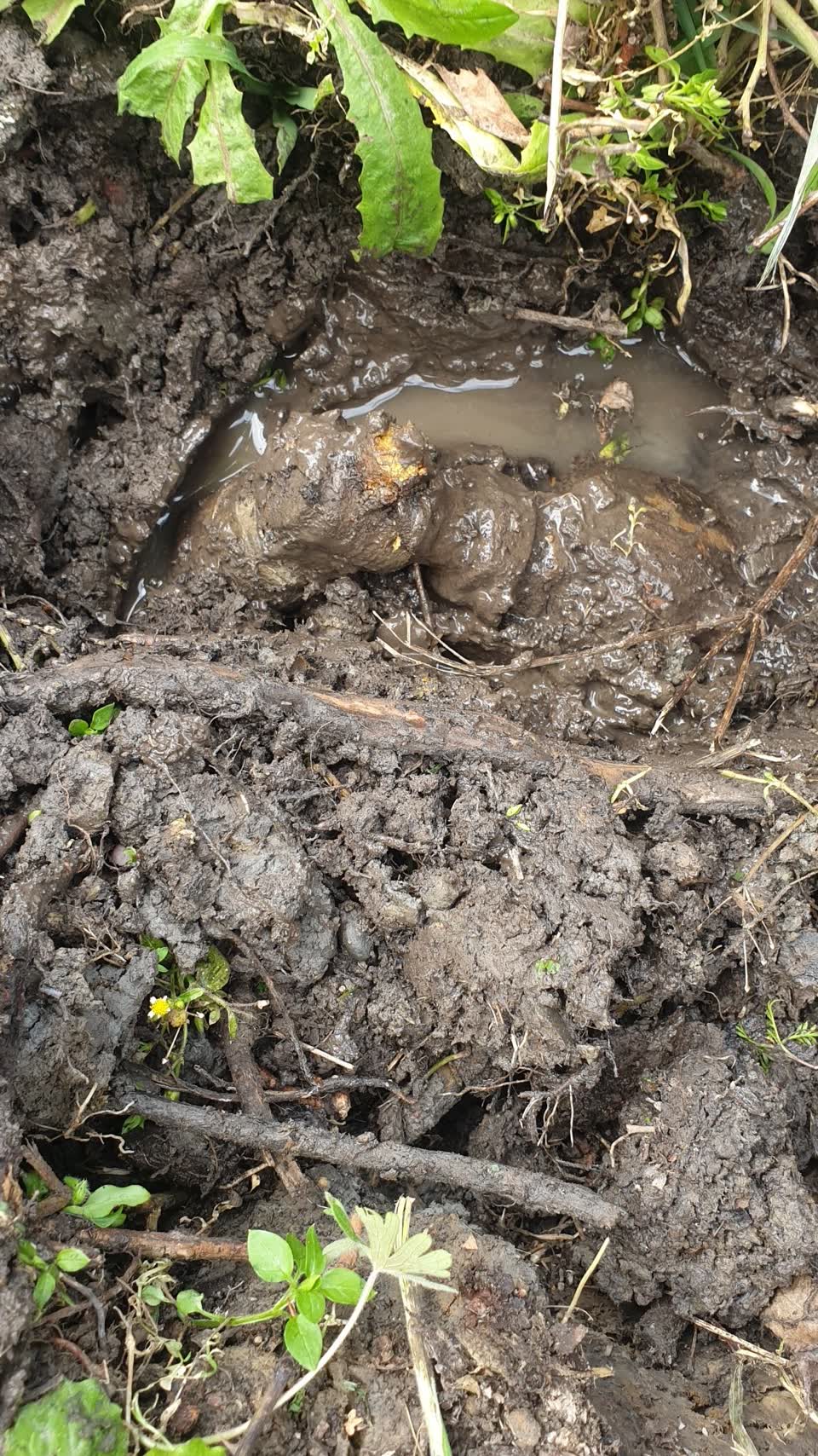 The photograph attached to this water supply report