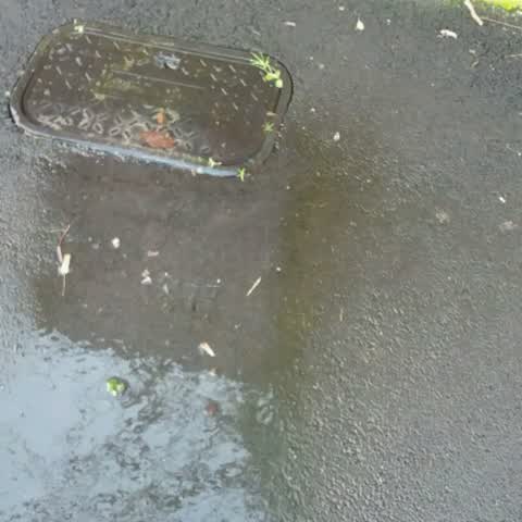 Water Supply, a report photo
