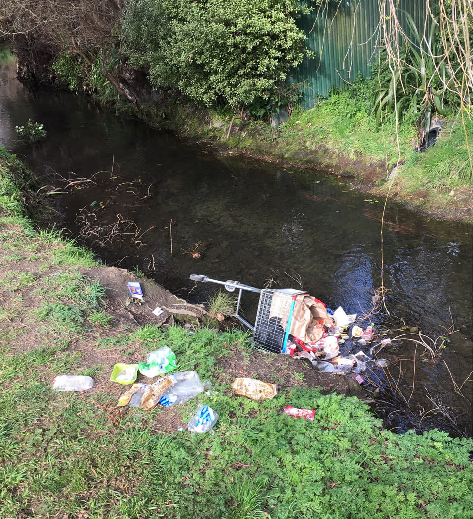 The photograph attached to this rubbish/recycling report