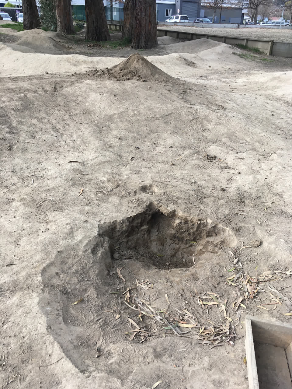 The photograph attached to this parks report
