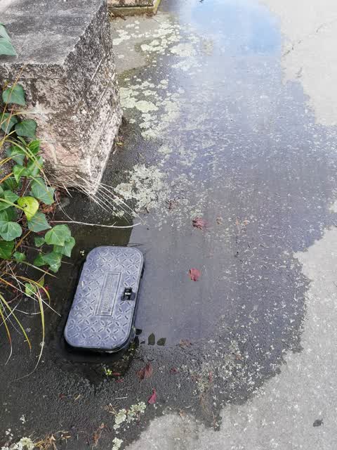 Water Supply, a report photo