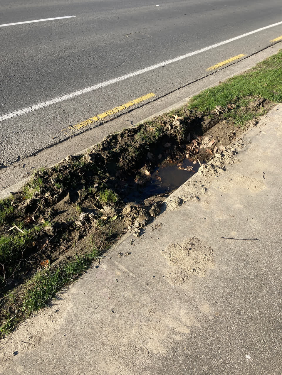 The photograph attached to this roading/streets report