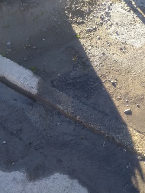 Water Supply, a report photo