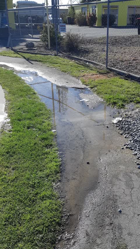 Flooding, a report photo