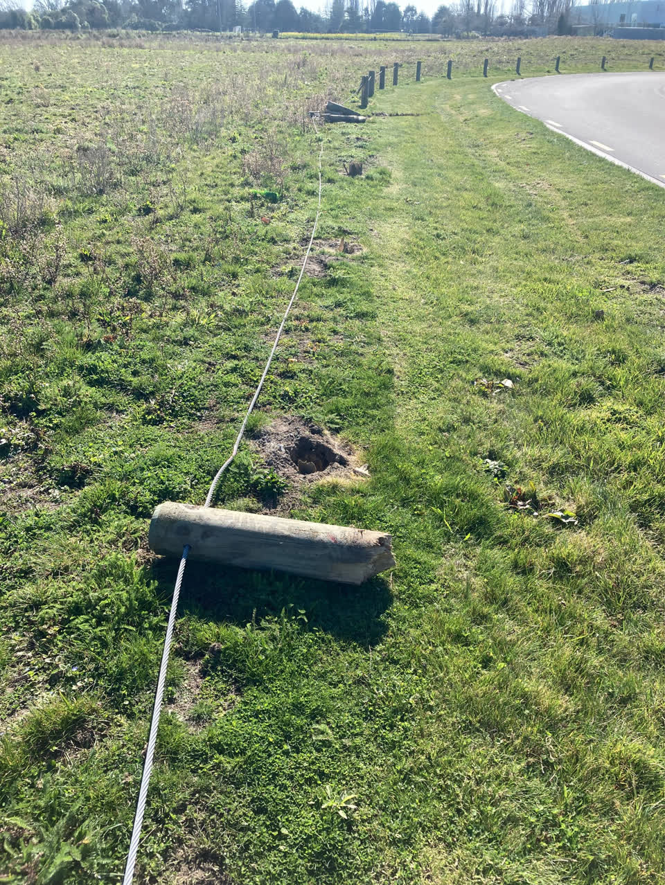 The photograph attached to this parks report