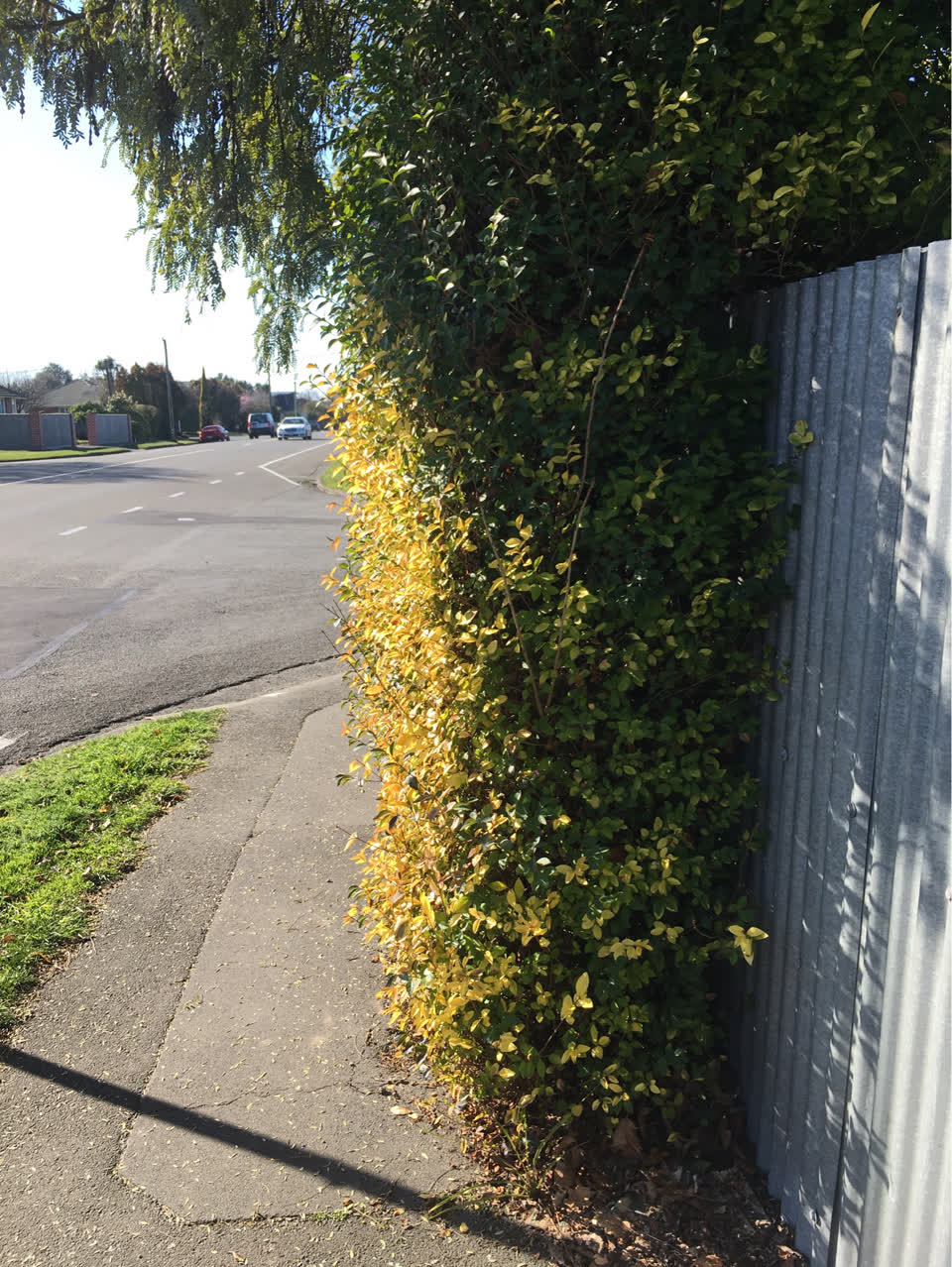 The photograph attached to this roading/streets report