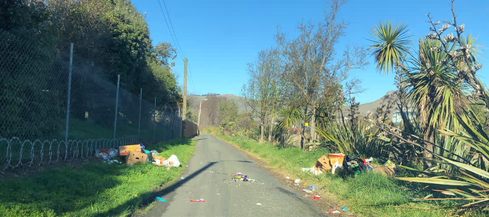 The photograph attached to this rubbish/recycling report