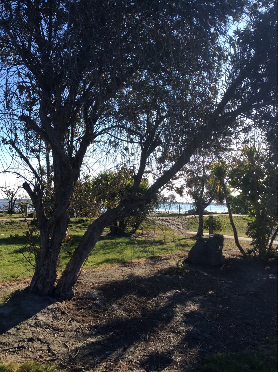 The photograph attached to this parks report