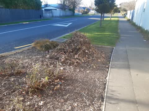 Parks, a report photo