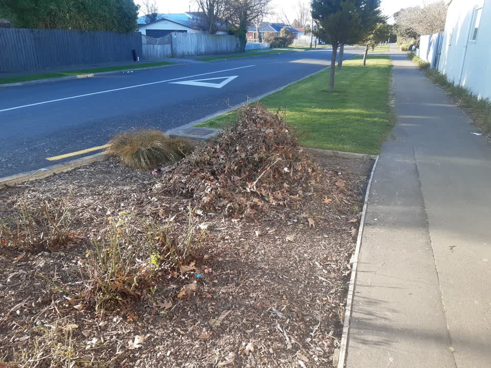 The photograph attached to this parks report