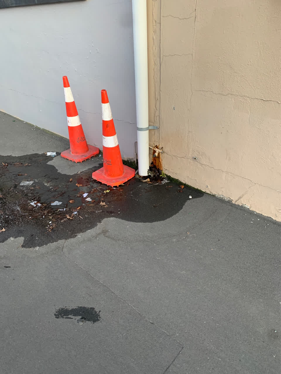 The photograph attached to this water supply report