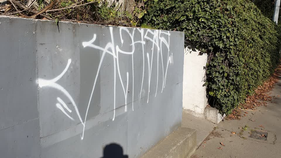 The photograph attached to this graffiti report