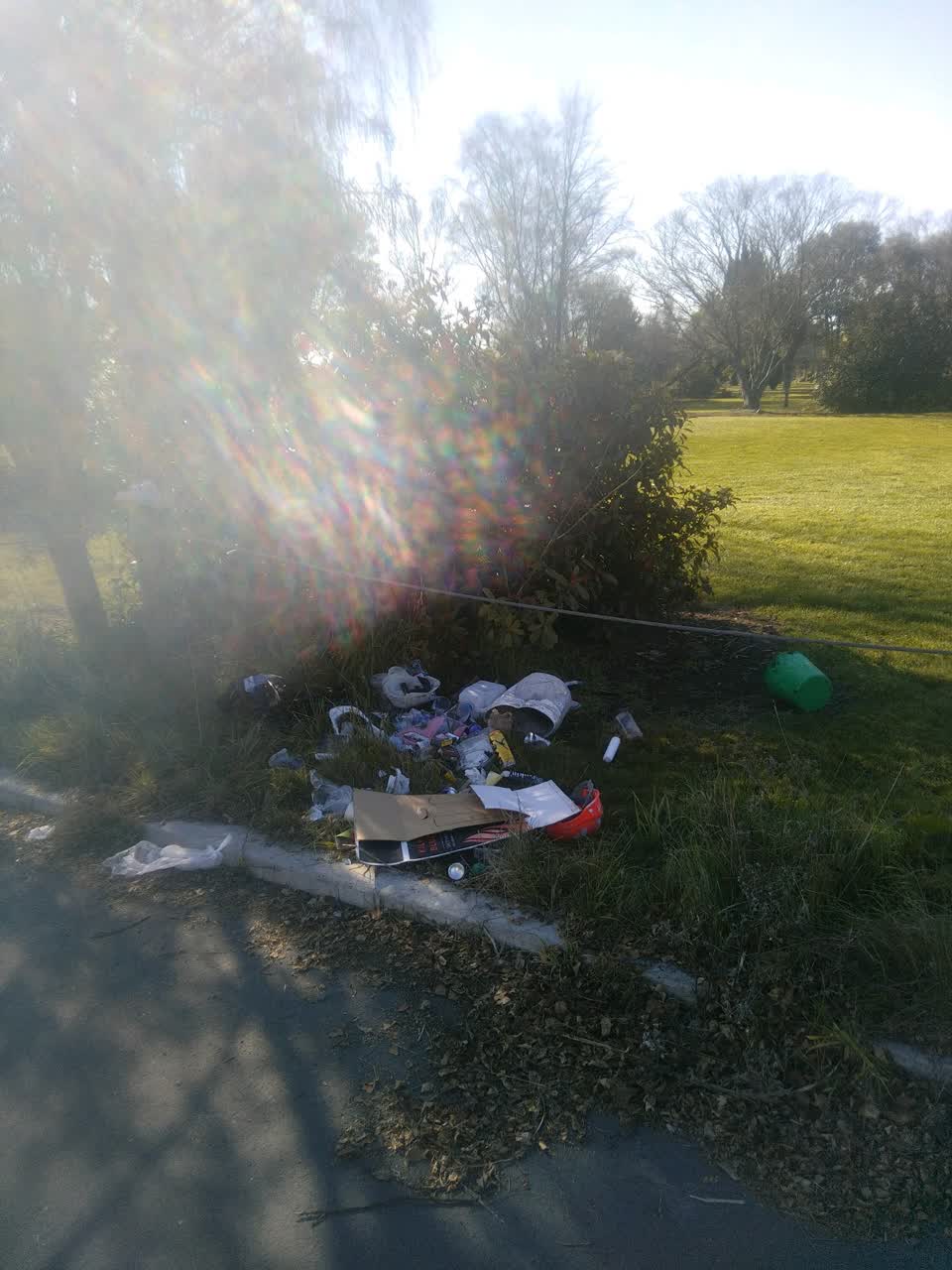 The photograph attached to this rubbish/recycling report