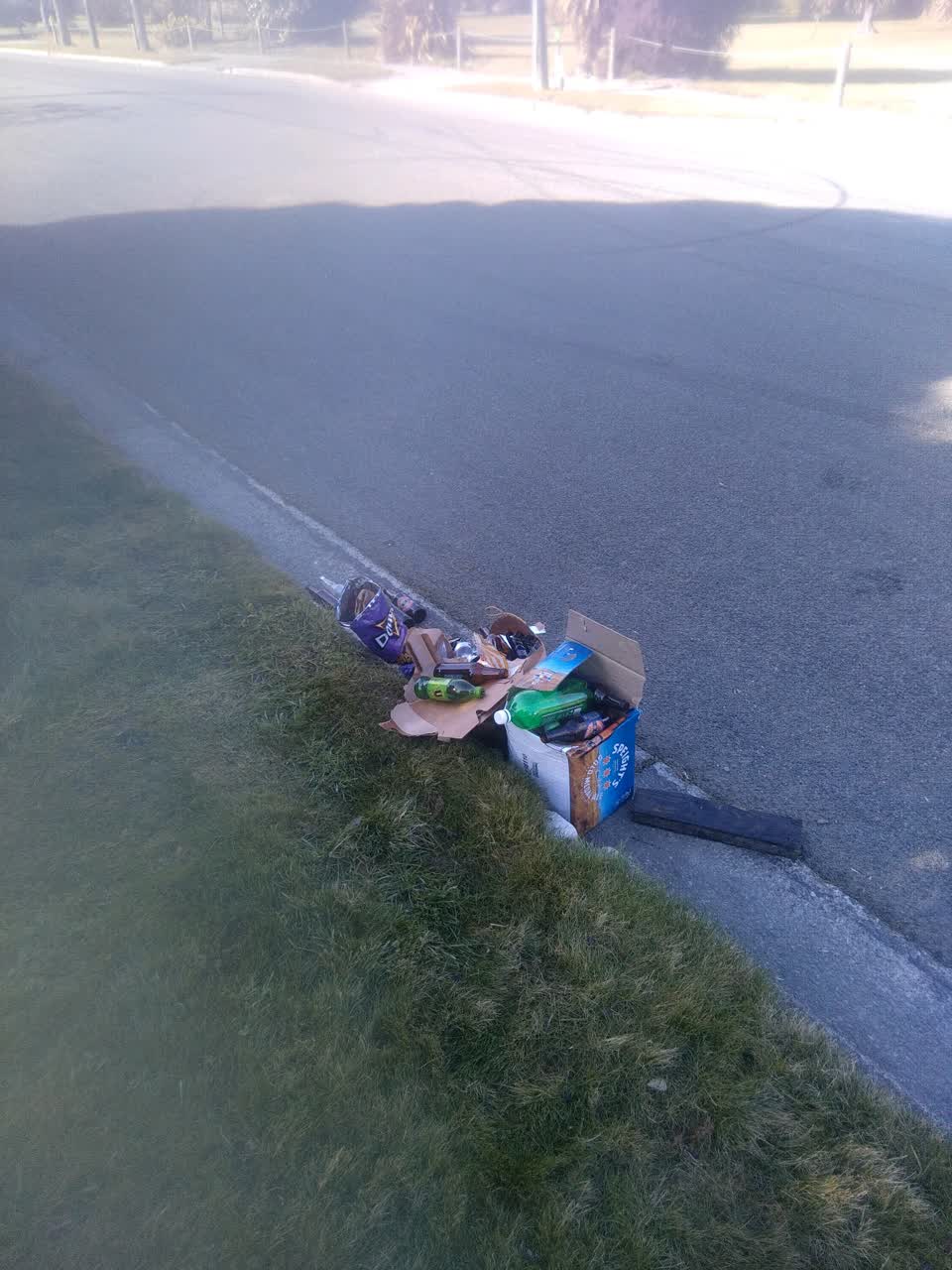 The photograph attached to this rubbish/recycling report