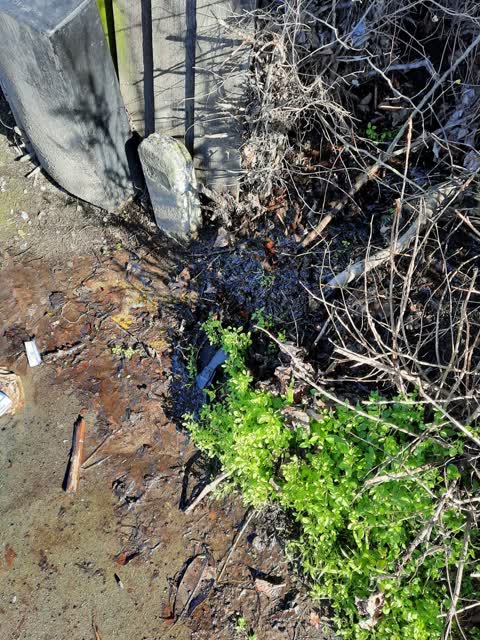 Water Supply, a report photo