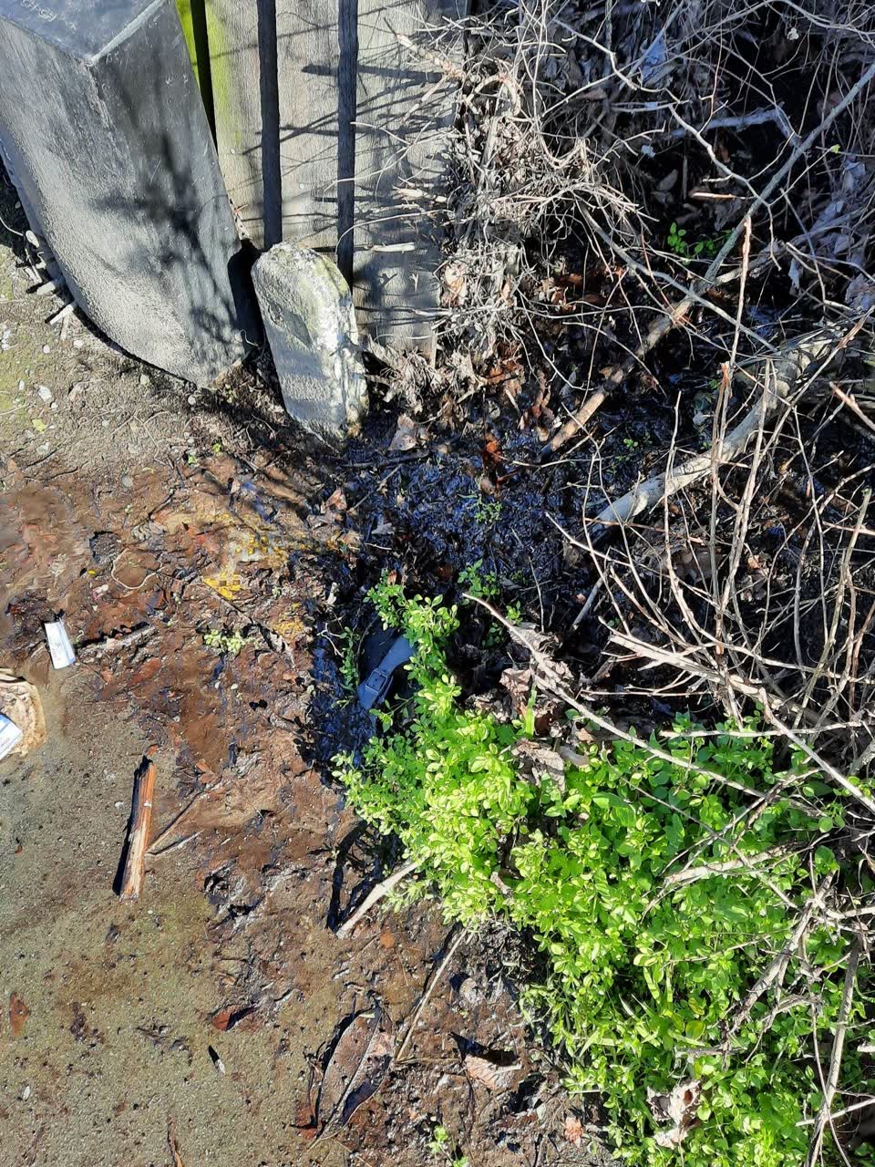 The photograph attached to this water supply report