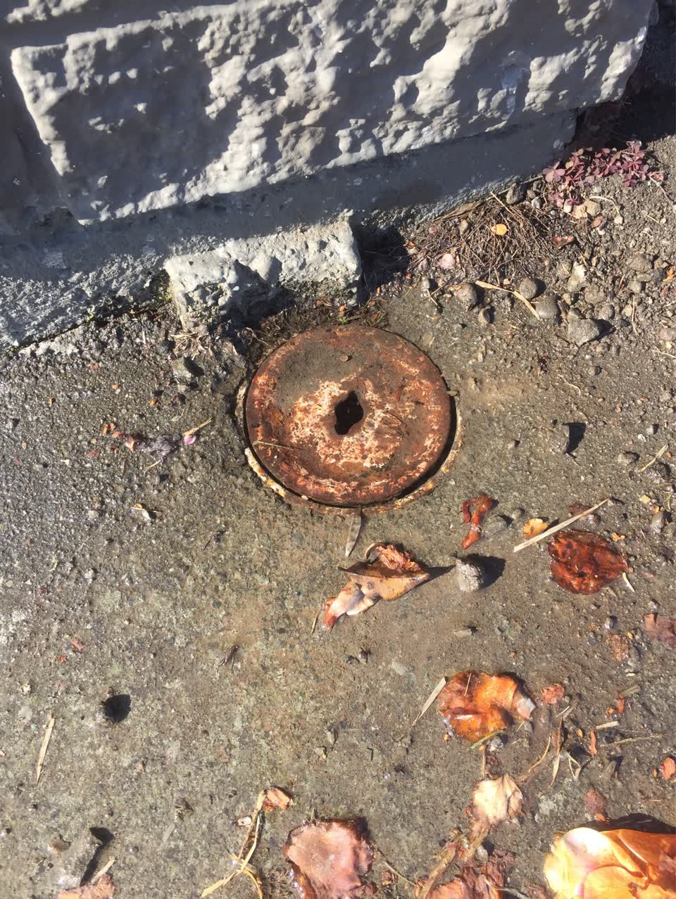 The photograph attached to this water supply report
