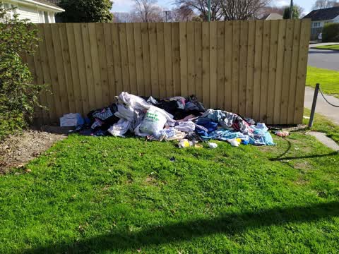 Parks, a report photo