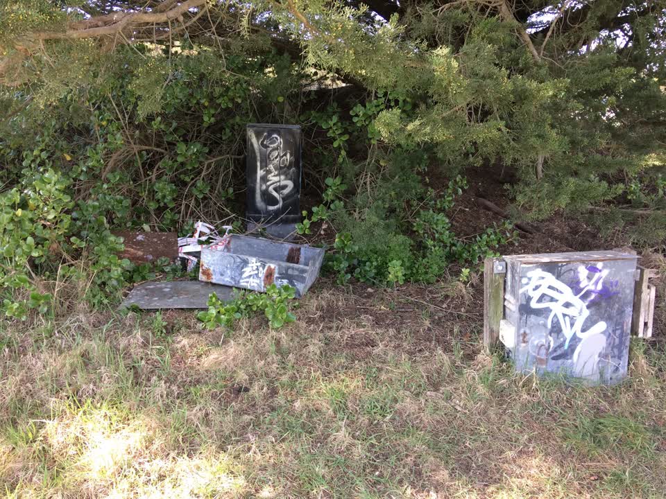 The photograph attached to this parks report