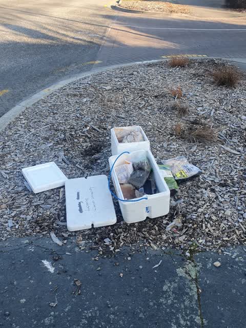 Rubbish/Recycling — a report photo