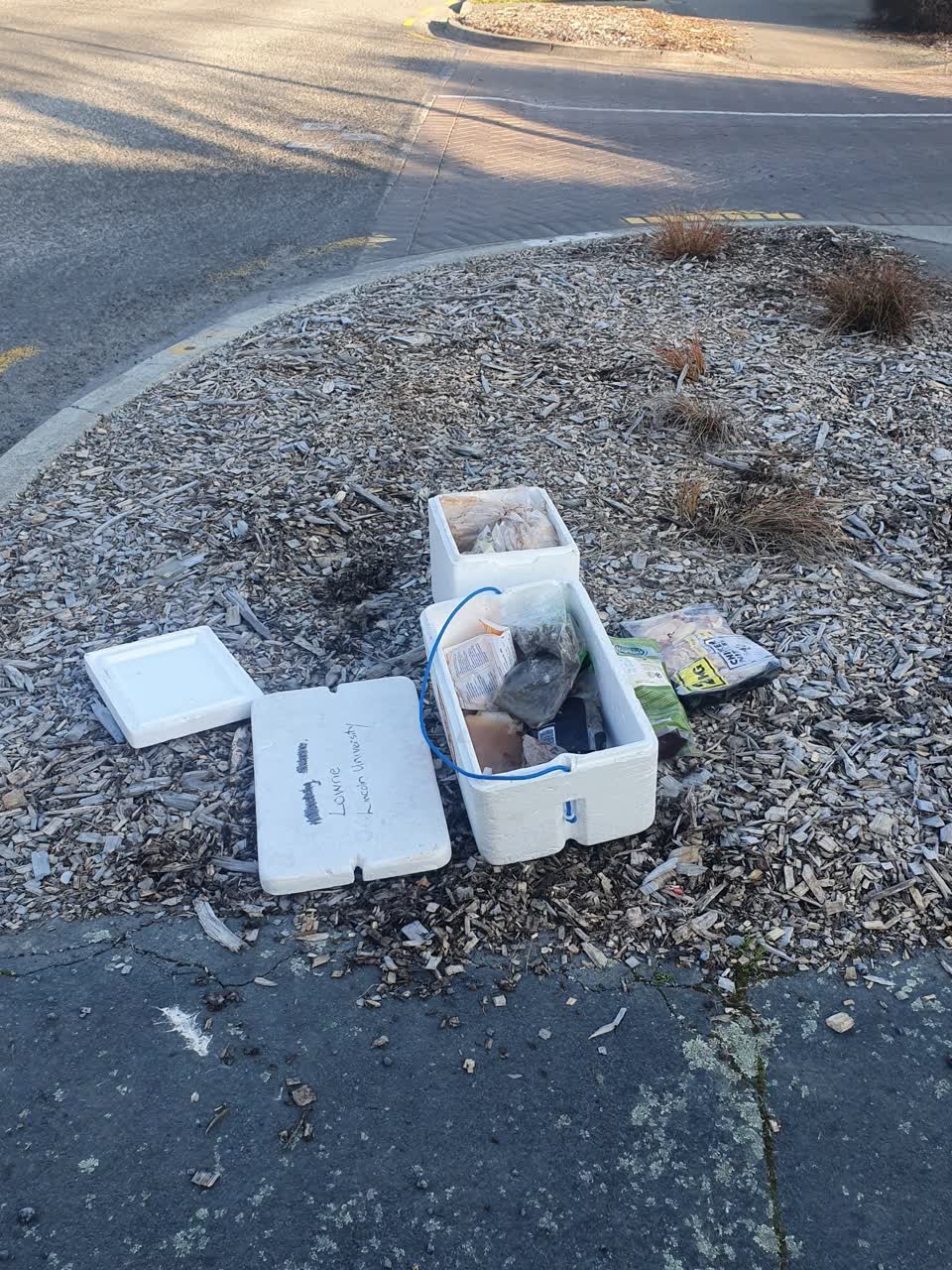 The photograph attached to this rubbish/recycling report