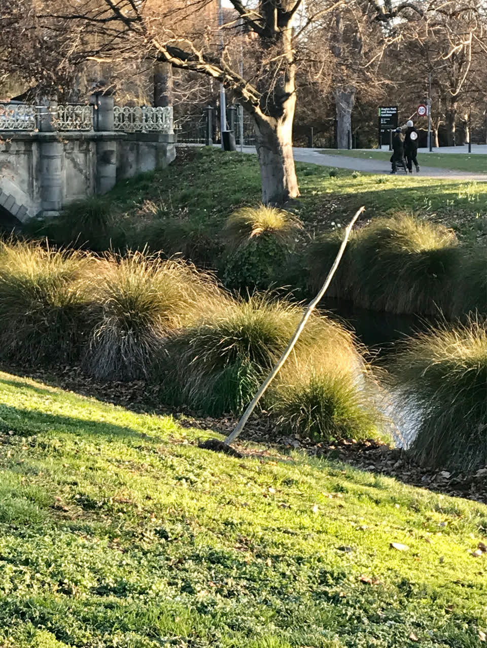 The photograph attached to this parks report