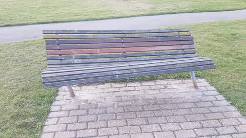 Parks, a report photo