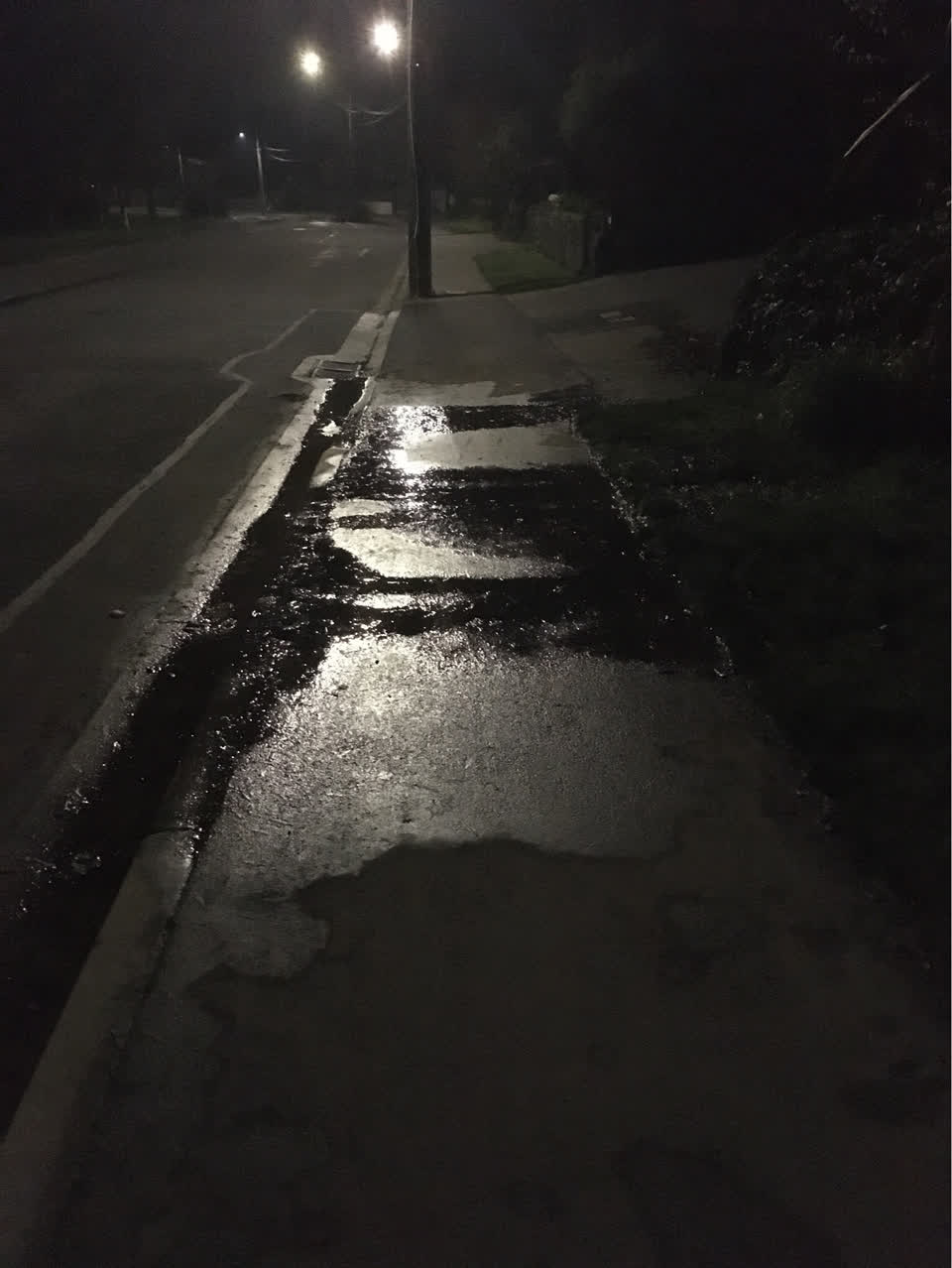 The photograph attached to this water supply report