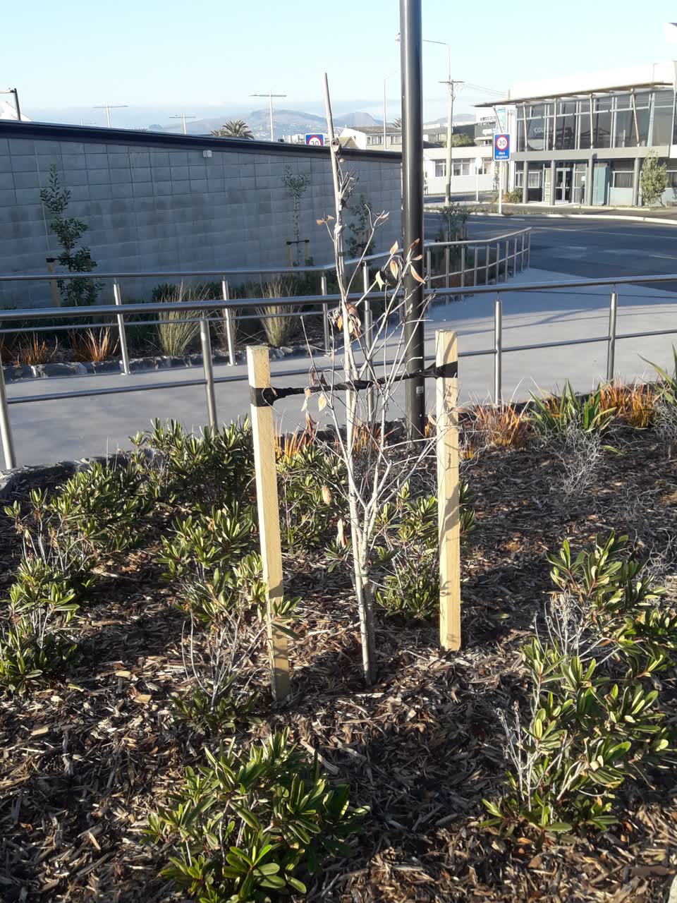 The photograph attached to this parks report