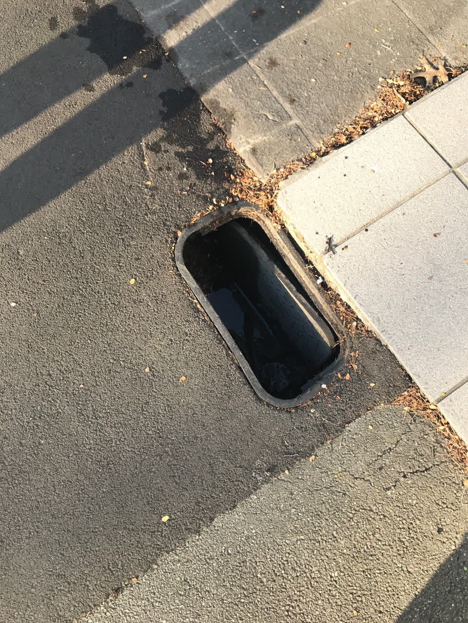 The photograph attached to this water supply report