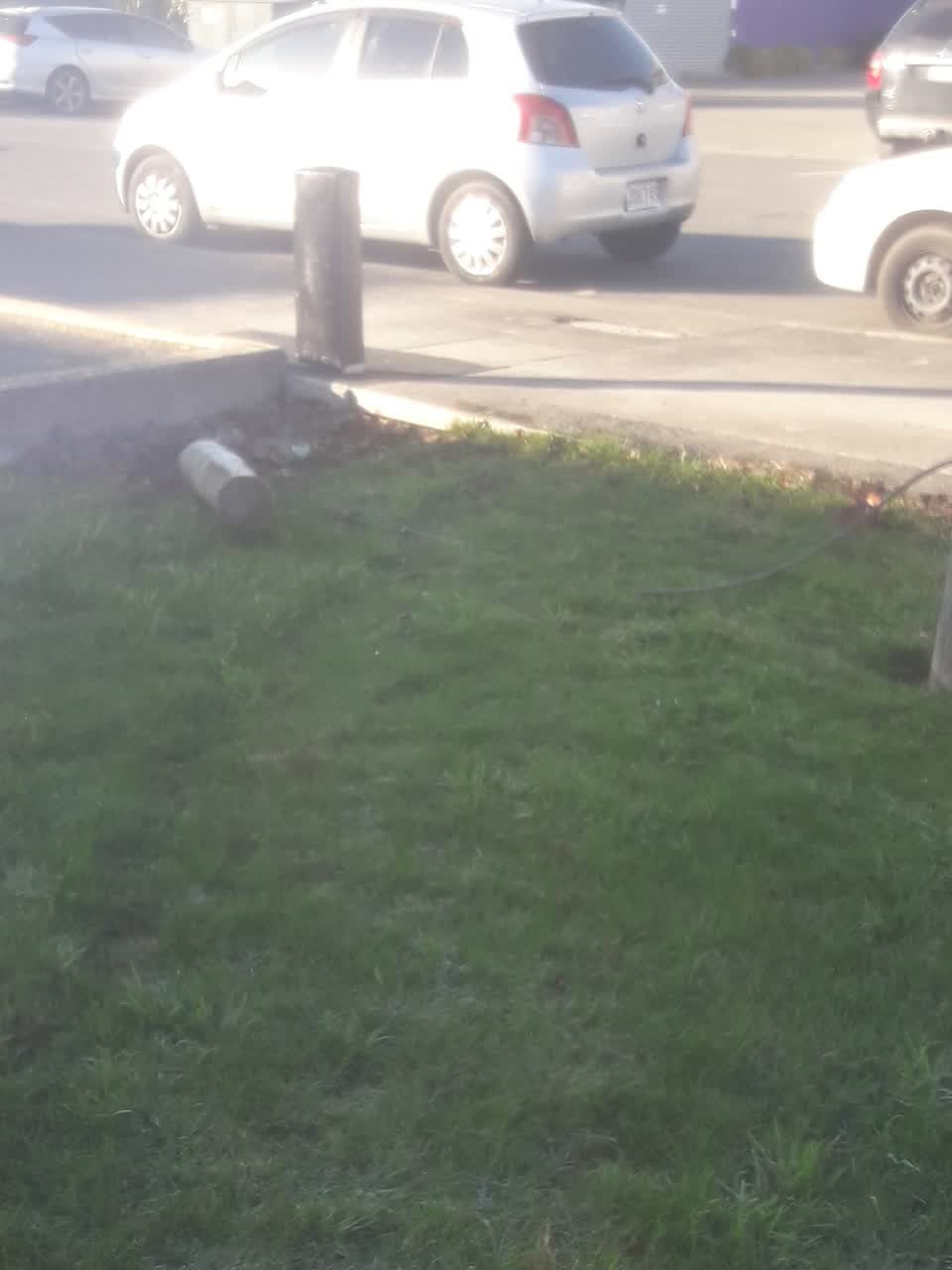 The photograph attached to this parks report
