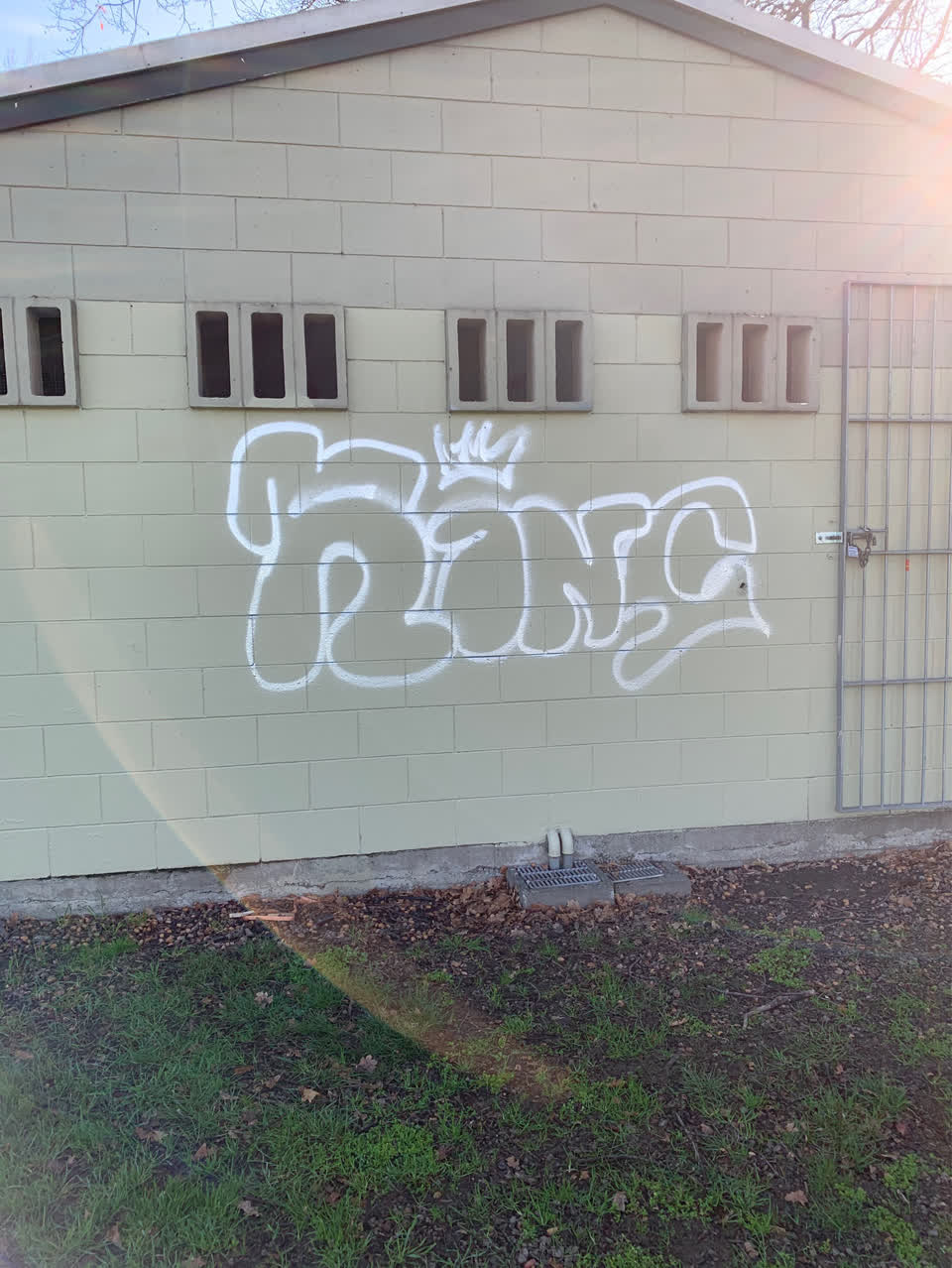 The photograph attached to this graffiti report