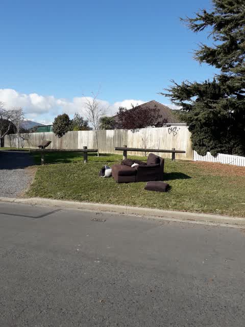 Rubbish/Recycling, a report photo