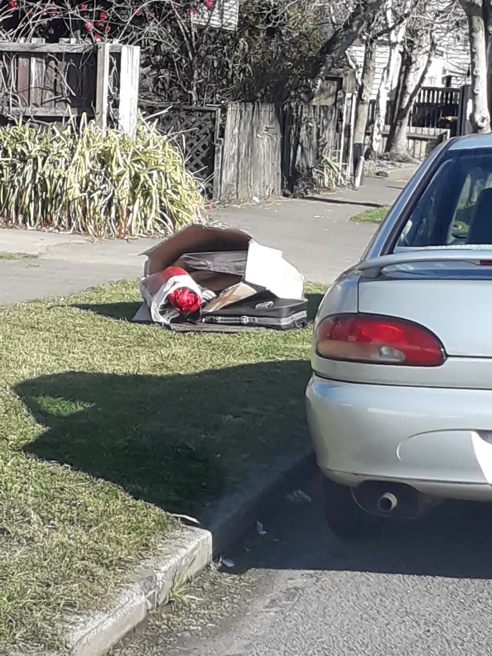 The photograph attached to this rubbish/recycling report