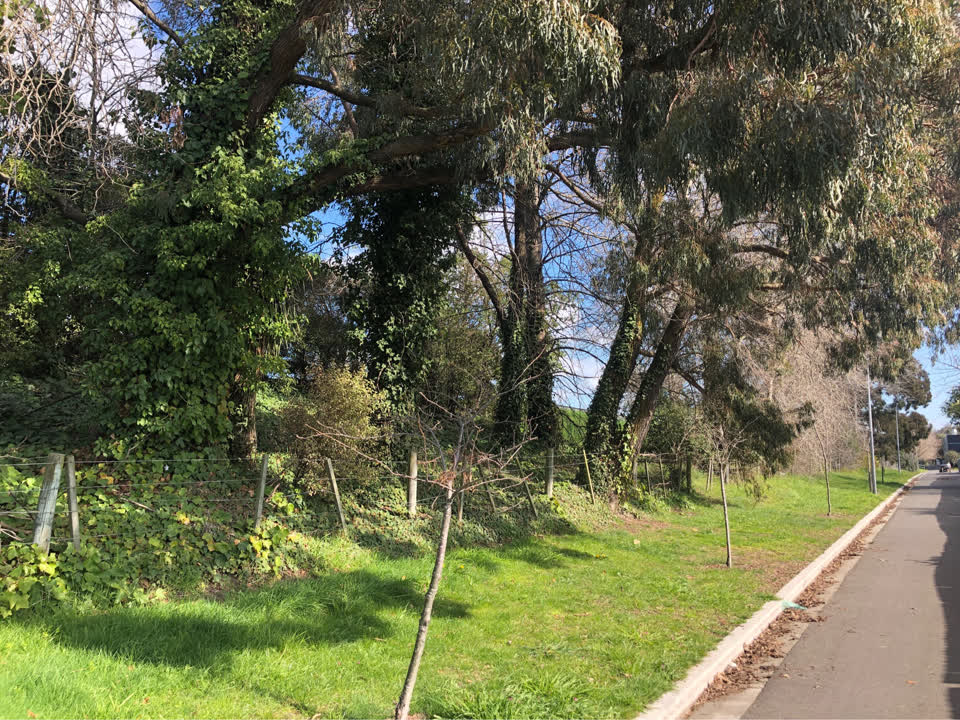 The photograph attached to this parks report