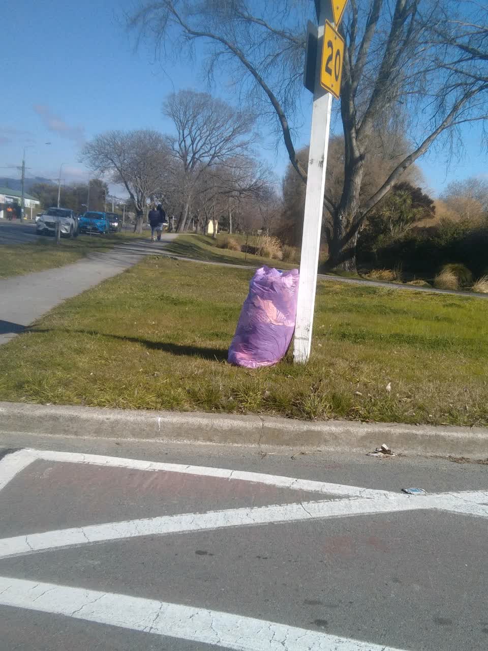 The photograph attached to this rubbish/recycling report