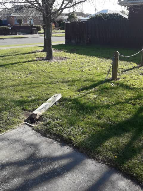 Parks — a report photo