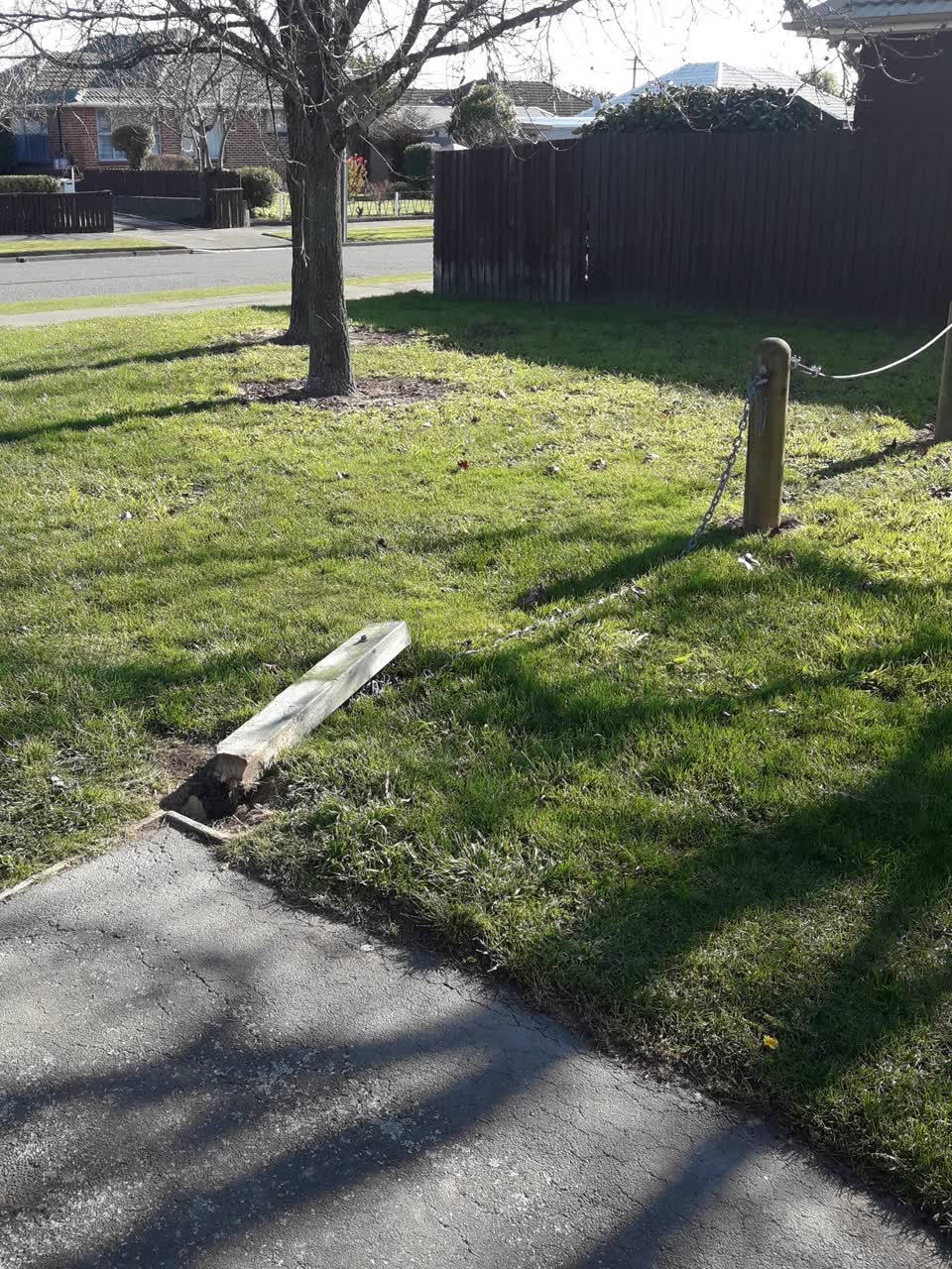 The photograph attached to this parks report