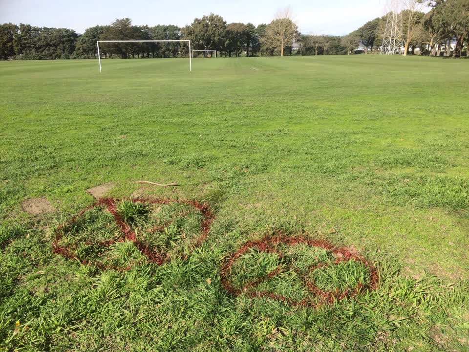 The photograph attached to this parks report