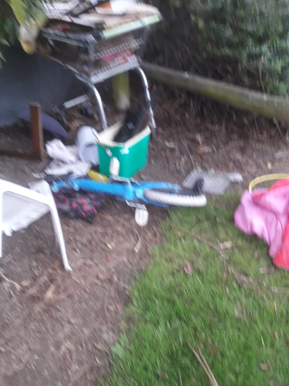 The photograph attached to this parks report