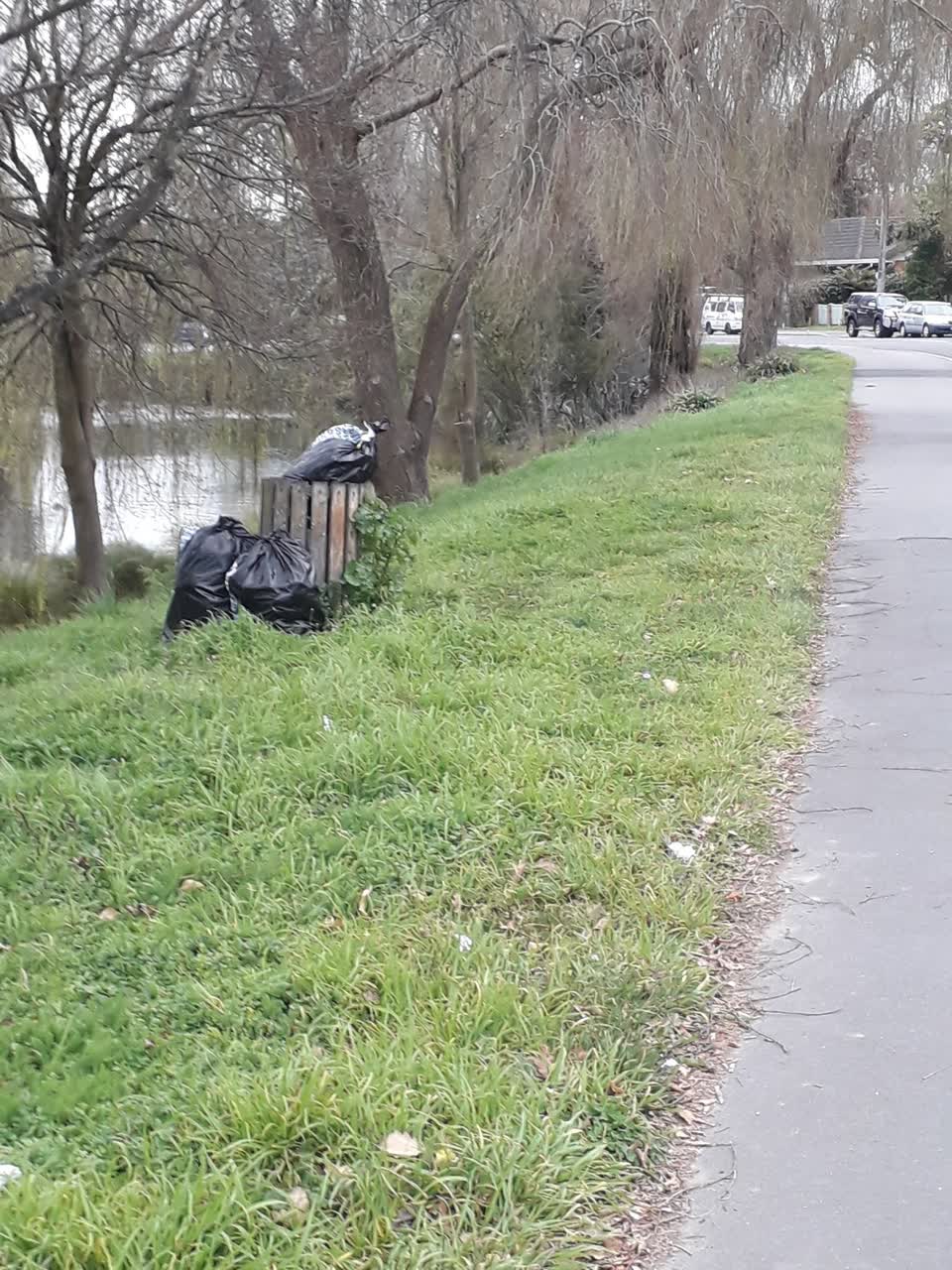 The photograph attached to this rubbish/recycling report