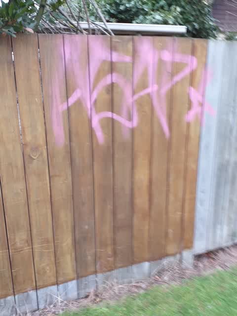 Graffiti, a report photo