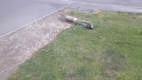 Parks, a report photo