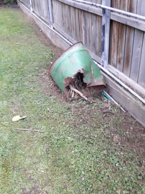 Rubbish/Recycling, a report photo